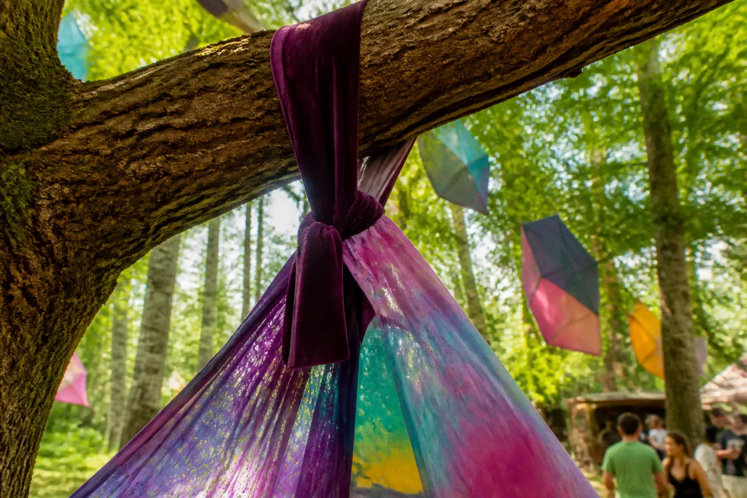 Festival-Dekoration im Wald: Kunst ohne Baumschäden