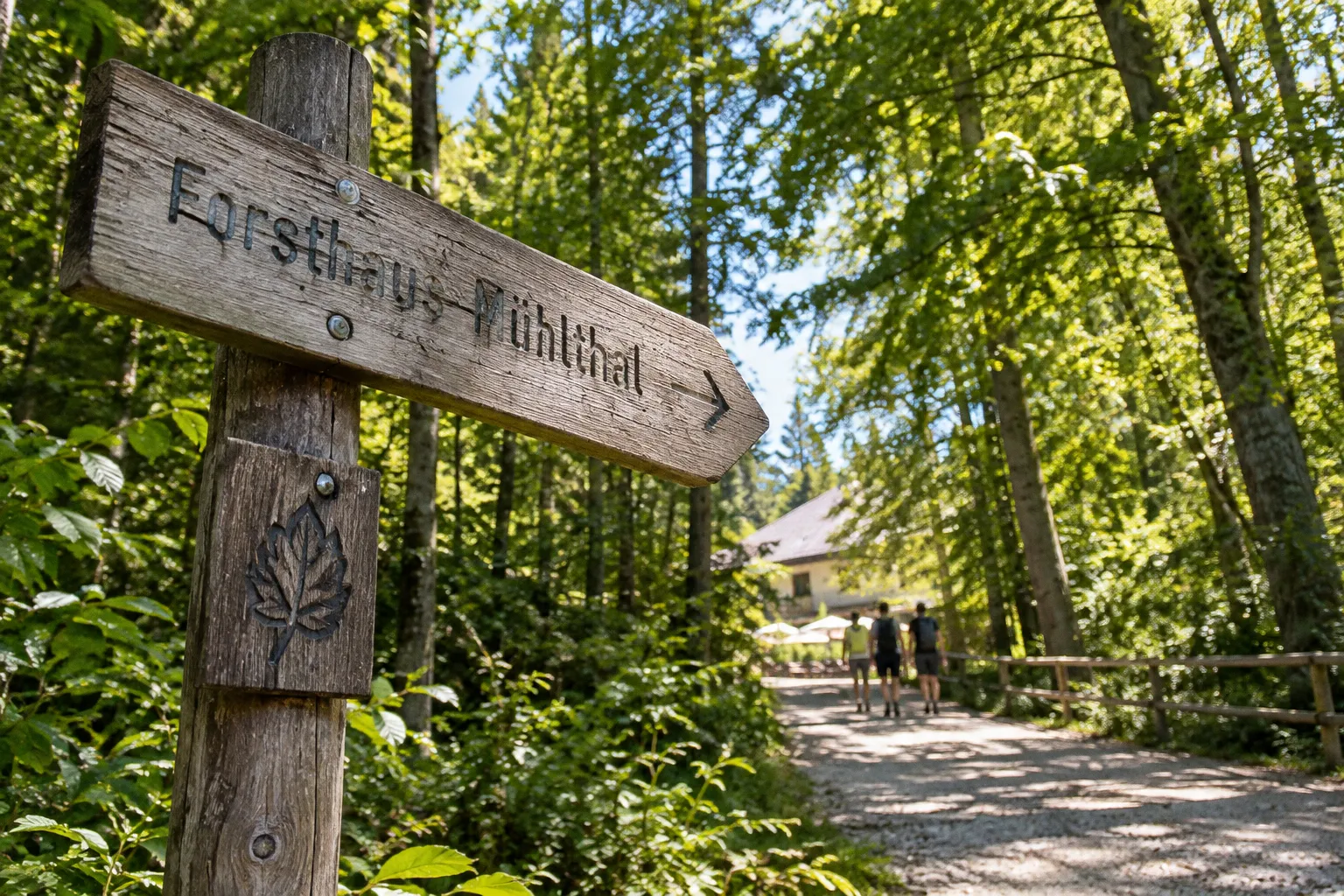 Forsthaus Mühlthal: Anfahrt, Parken und Orientierung vor Ort